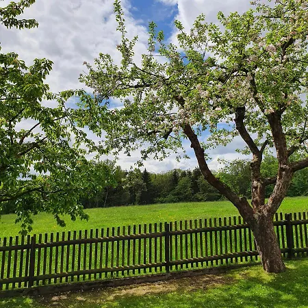 Willkommen Bad Schandau